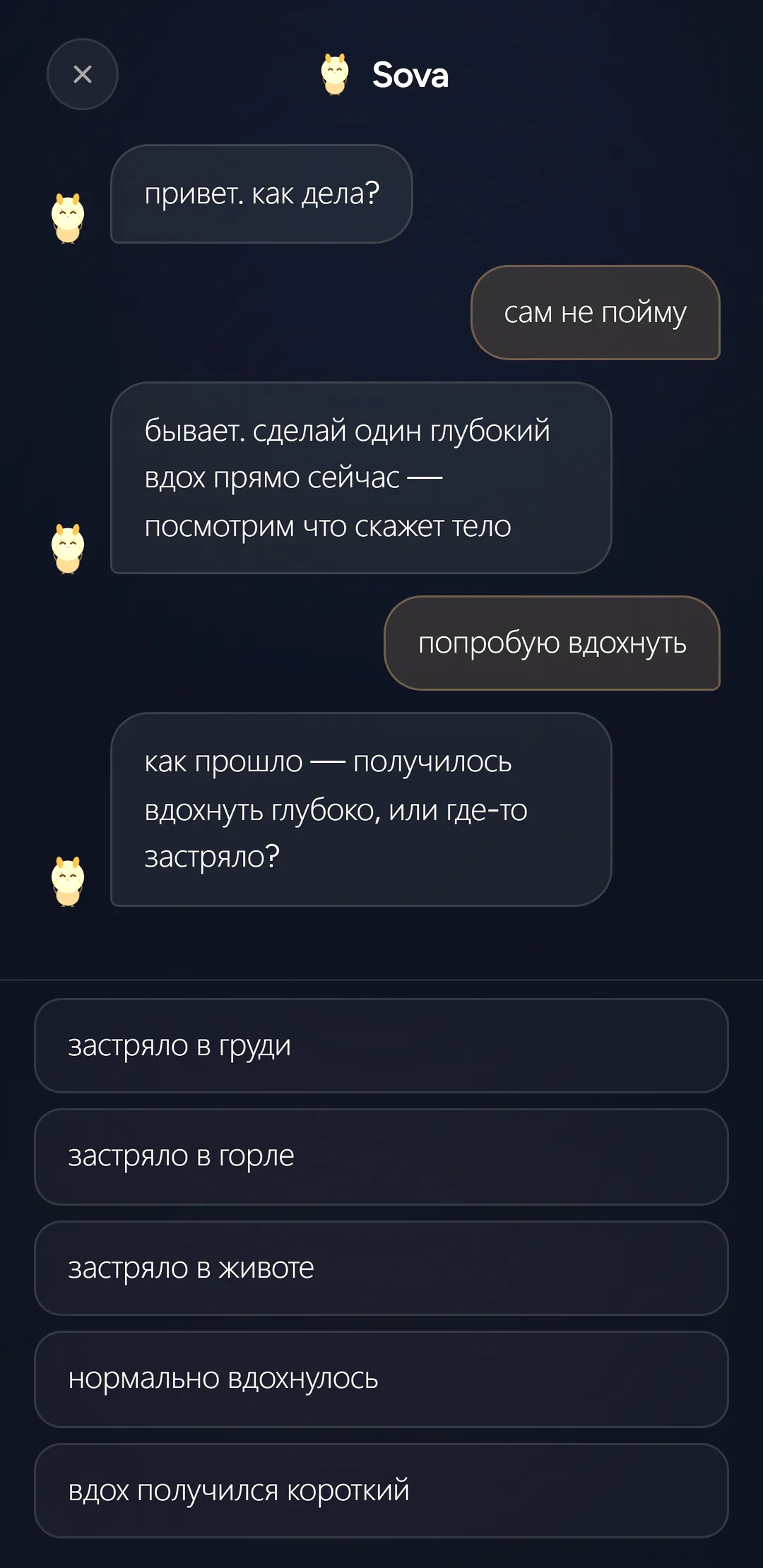 Чат с совой: сова спрашивает как дела, готовые варианты ответов